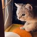 Bin Qin - Facebook