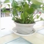 Bin Qin - @bin.qin.520 - Instagram