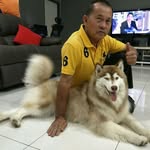 李斌钦 - @binqinli - Instagram