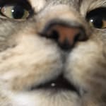 Yunhai - @binsinglelol - Instagram