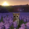 BinSun - @binsun82 - TikTok