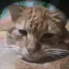 Binsun - @binsunn - TikTok