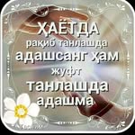 binyamin - @binyamin335 - Instagram