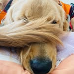 인구 - @b.inyoung - Instagram
