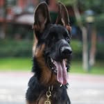 bin z z z z - @binzong626 - Instagram