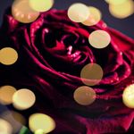 Bina Sheth - @bina9818 - Instagram