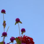 Binayak Manandhar - @binayak_dev_manandhar - Instagram