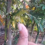Binayak Banerjee - @binayak3203 - Instagram