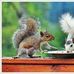 Bincy Jose - Facebook