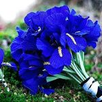 Bincy jose - @bincy3629 - Instagram