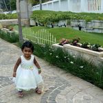 Bincy Jose Pollayil - @bincyjosepollayil - Instagram