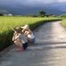 Bindi Chen - Facebook
