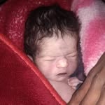 Bindu Joshi - @joshibindu02 - Instagram