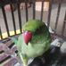 Bindu Mehta - Facebook