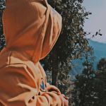 ......... - @bindu_mehta_uk2 - Instagram