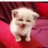 bindu parekh - @bindudasparekh - TikTok