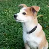 bingguan03 - @bingguan03 - TikTok
