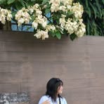 Bing Ji - Facebook