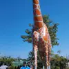 bing xia - @bing.xia2 - TikTok
