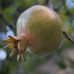 Bing Zhao - Facebook