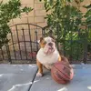 wanbing zhao405 - @wanbingzhao405 - TikTok