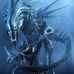 Bing Zhou - Facebook