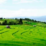 林秉華 - @binghualin - Instagram