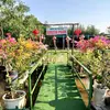 Binh Bui - @binh.bui636 - TikTok