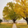 Binh Doan - @binh.doan019 - TikTok