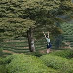 Bình Đoàn - @nguyenchjf - Instagram