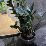 Binh Ha - Facebook