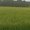 binh ha - @binhha882 - TikTok