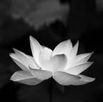 Binh Le - Facebook