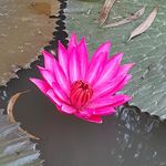 Binh Vo - @binh.vo.581 - Instagram