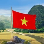 Bình Võ Tấn - @binhvotan - Instagram