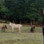 Binod Giri - @g__binod - Instagram