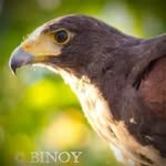 Binoy Samuel - @binoy.samuel - Instagram