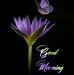 Binoy Varghese - Facebook