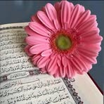 Binte Ahmed - Facebook