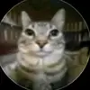 Daniel_el_biolador_de_kulos - @daniel_el_biolado - TikTok