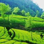 Biplab Ghosh - @_biplab_ghosh_ - Instagram
