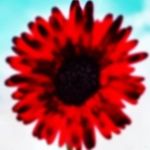Birendar Joshi - @birendar.joshi.10 - Instagram