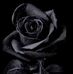 Birendra Kumar - Facebook