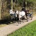 Birgit Jensen - Facebook