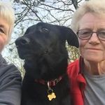 Birgit Møller Jensen - @birgit6442 - Instagram