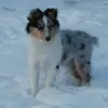 birgitjensen745 - @birgitjensen745 - TikTok