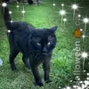 Birgit Smith - @user8616834642924 - TikTok