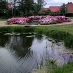 Birgitte Christensen - @birgittechristensen00 - Instagram