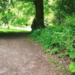 Birgitte Christensen - @birgittes.vilde.have - Instagram