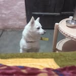 birpal. kaur - @birpal._kaur - Instagram